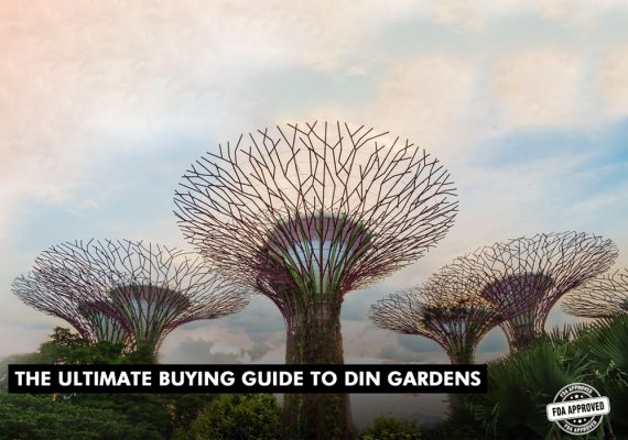 The Ultimate Buying Guide To Din Gardens Faisalabad | Din Gardens Location Overview